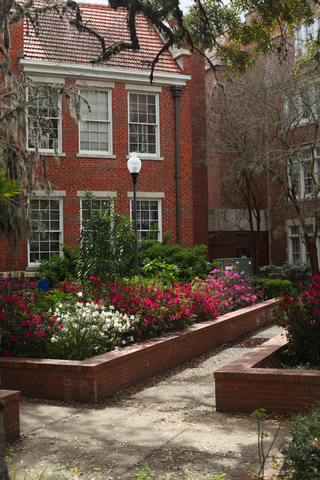 bankruptcy law gainesville